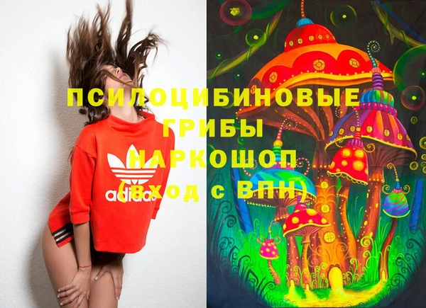 apvp Бугульма